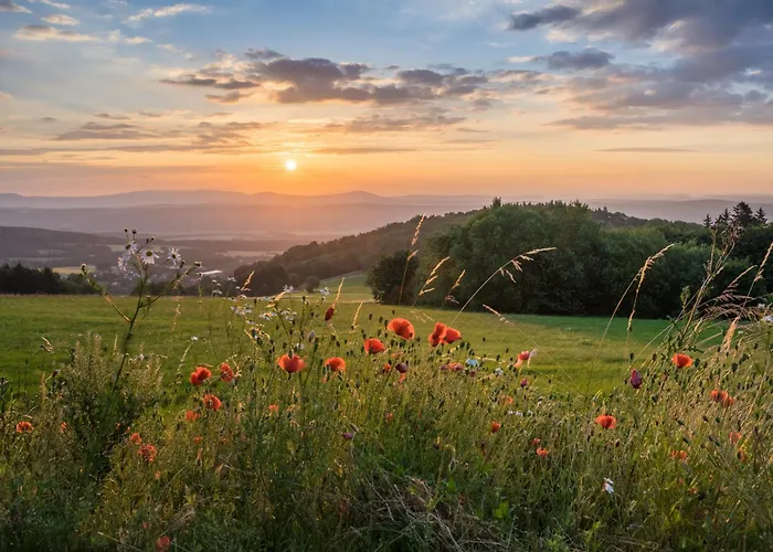 Rhoen & Relax Muehlenblick - Mit Kinderzimmer Apartament Burkardroth